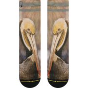 Dave Nelson Pelican