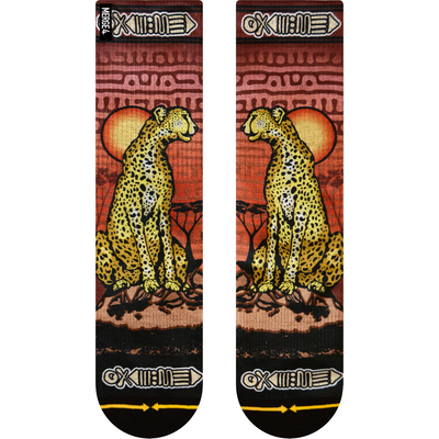 Taylor Reinhold Cheetah