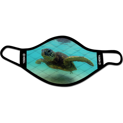 Dave Nelson Turtle Mask