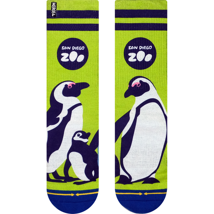 SDZ Penguins